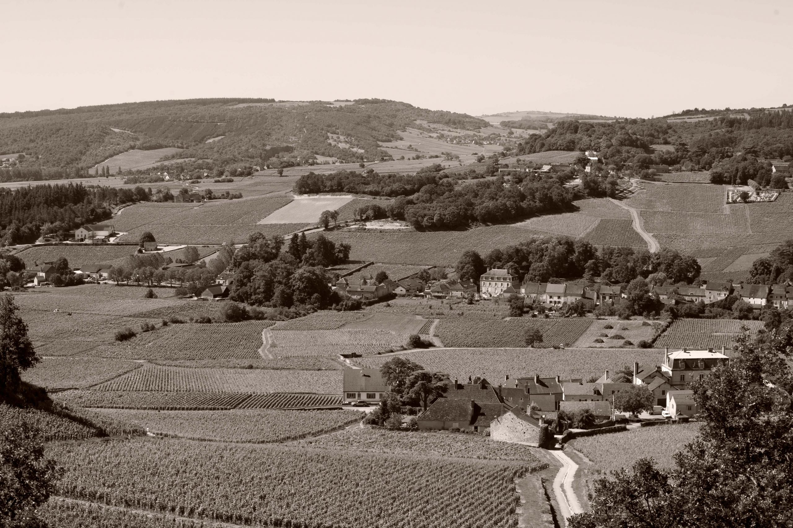 Sélection de Vins de Bourgogne | Louis Max