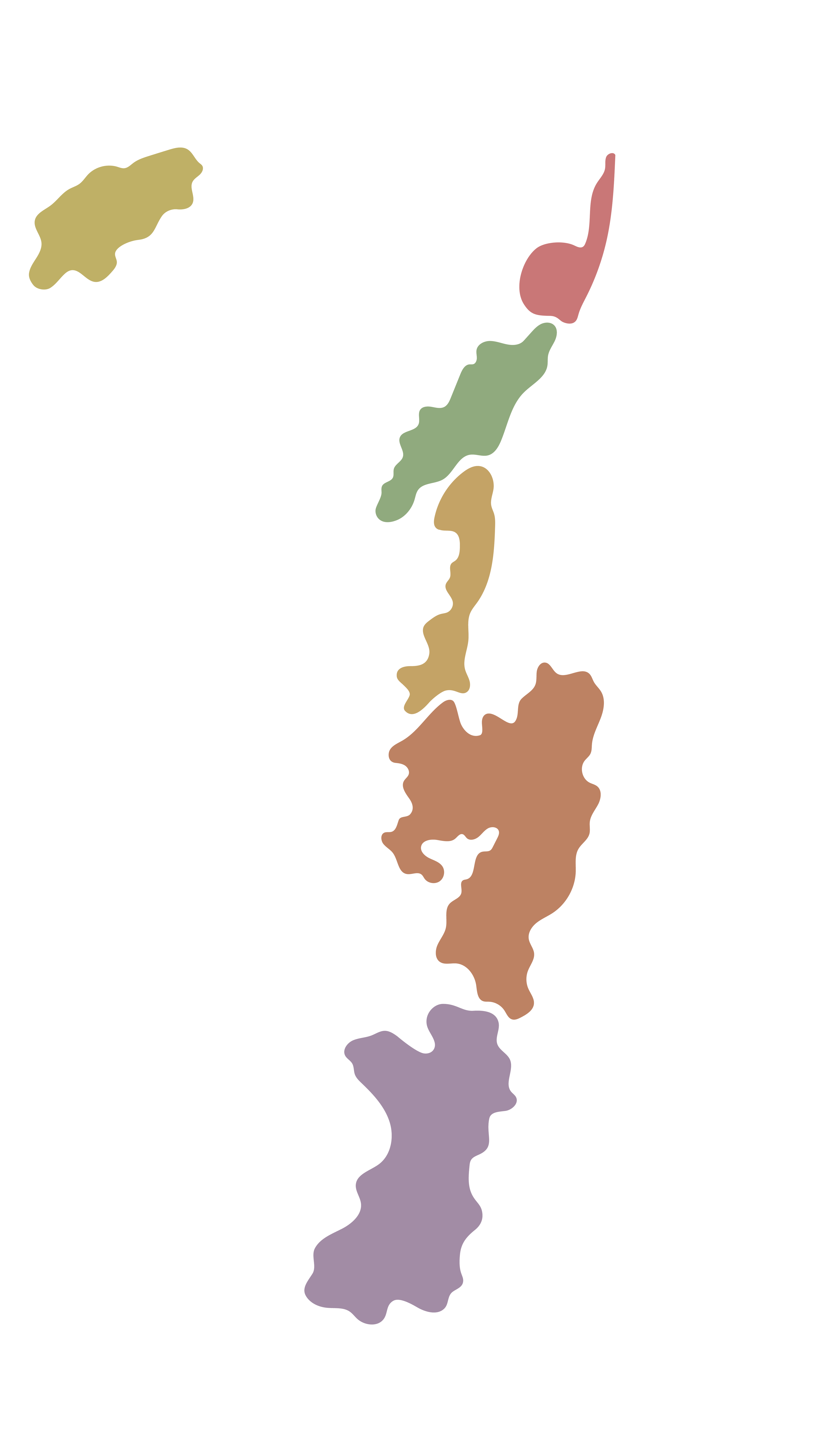 fond de carte des vins de Bourgogne Louis Max